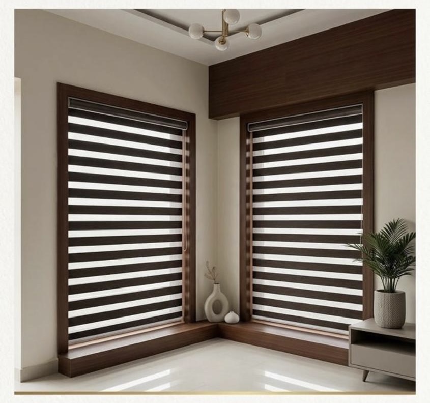 Zebra Blinds